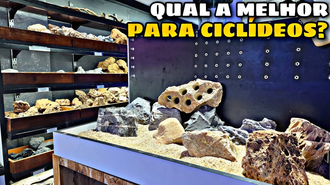 COMO ESCOLHER ROCHAS PARA AQUÁRIOS DE CICLÍDEOS AFRICANOS