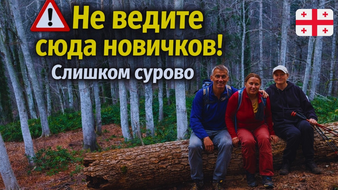 Зимний треккинг в Грузии: Круг по Мтирала (Батуми) — 12 км, 900 м набора, снег наверху ❄️🏔️