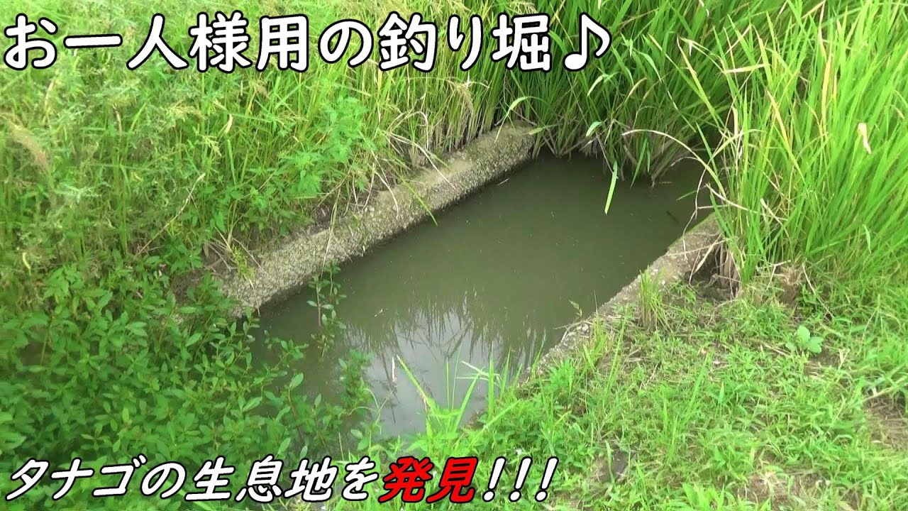 釣り堀のように釣れる♪お一人様用の水路