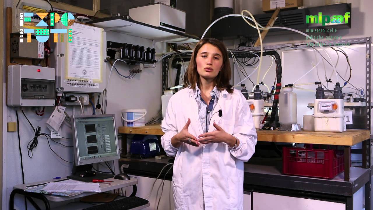 È vero che l'agricoltura emette ammoniaca?