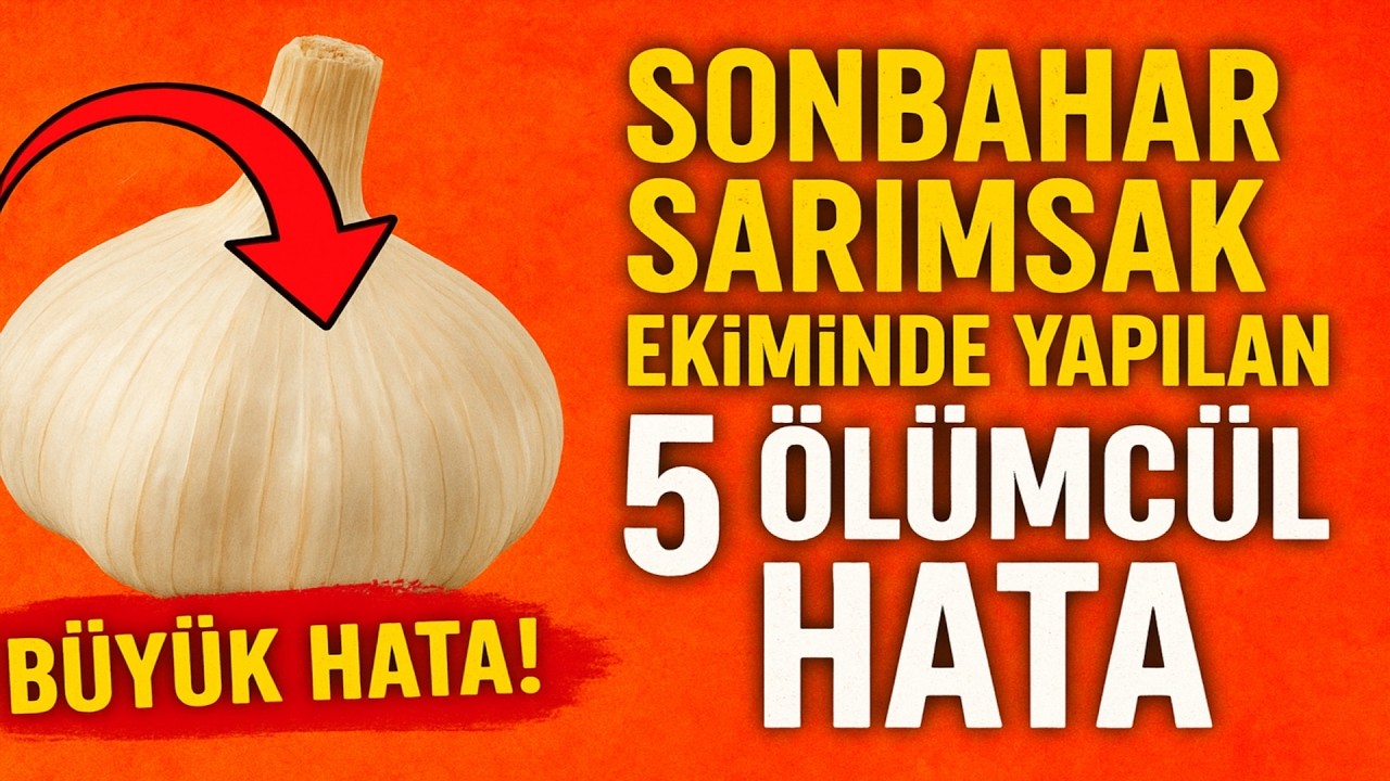 Sonbahar Sarımsak Ekiminde Yapılan 5 Ölümcül Hata. Hobi bahçıvanlarının %90ı hasatlarını işte tam d