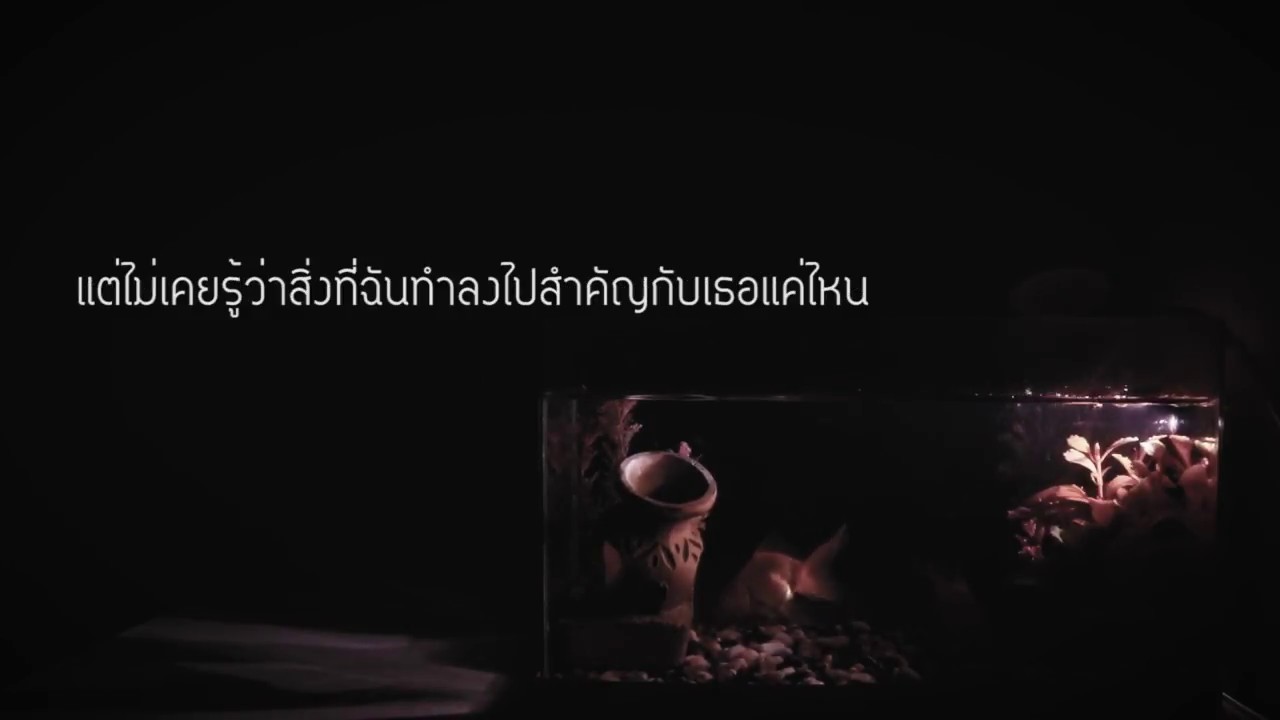 MALIWAN - อย่าบอกลา (Don't leave me) | [OFFICIAL VIDEO]
