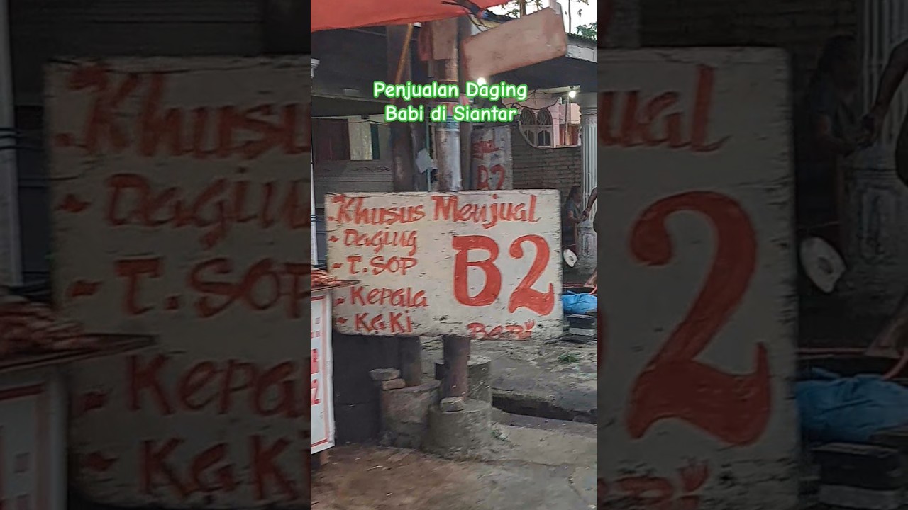 KHUSUS MENJUAL DAGING BABI DI SIANTAR SUMATERA UTARA | BATAK NEWS #batak #danautoba #tradisibatak