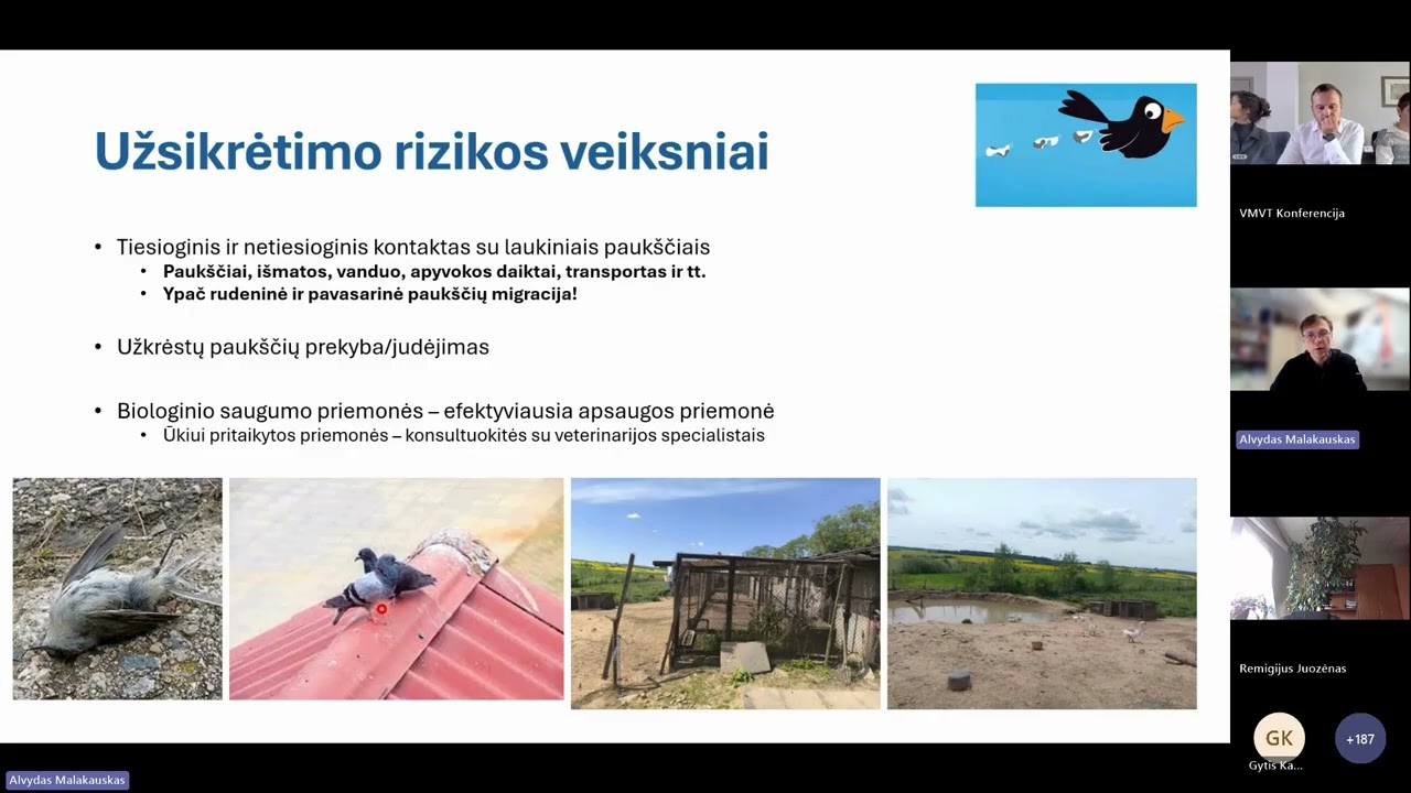 Konsultacija: kaip apsaugoti savo ūkį nuo paukščių gripo ?
