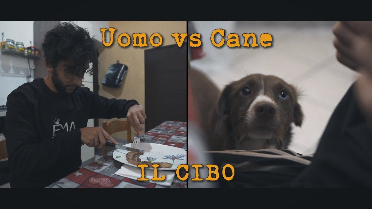 Simone Riccobono - Uomo vs Cane  IL CIBO