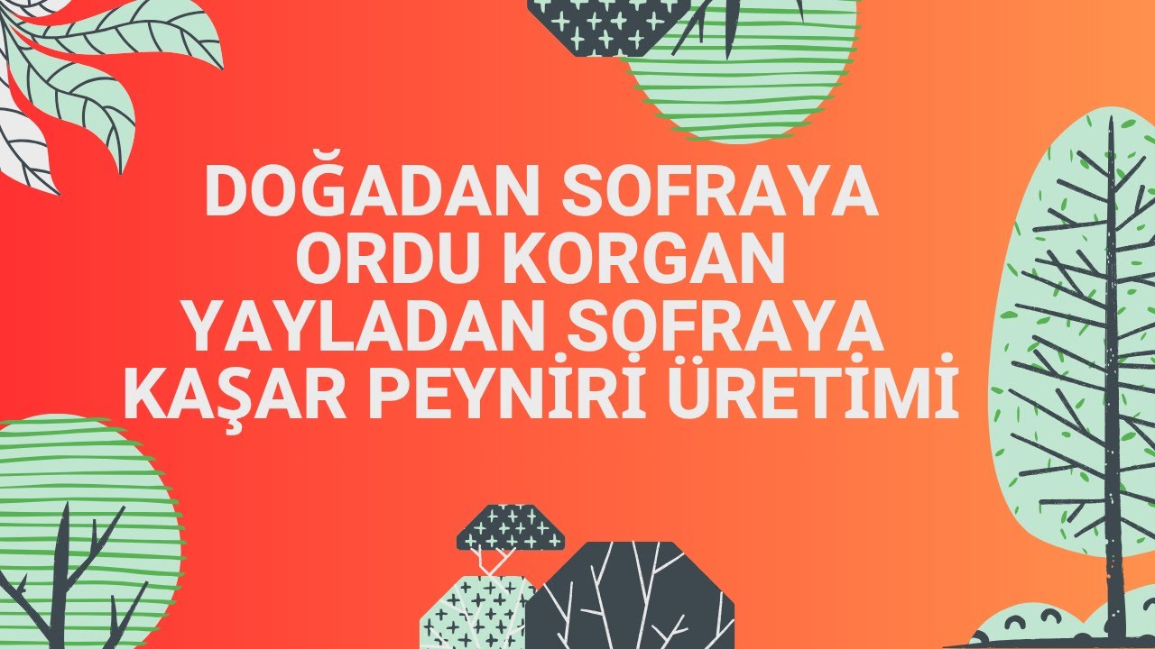 ORDU KORGAN | YAYLADAN SOFRAYA KAŞAR PEYNİRİ ÜRETİMİ