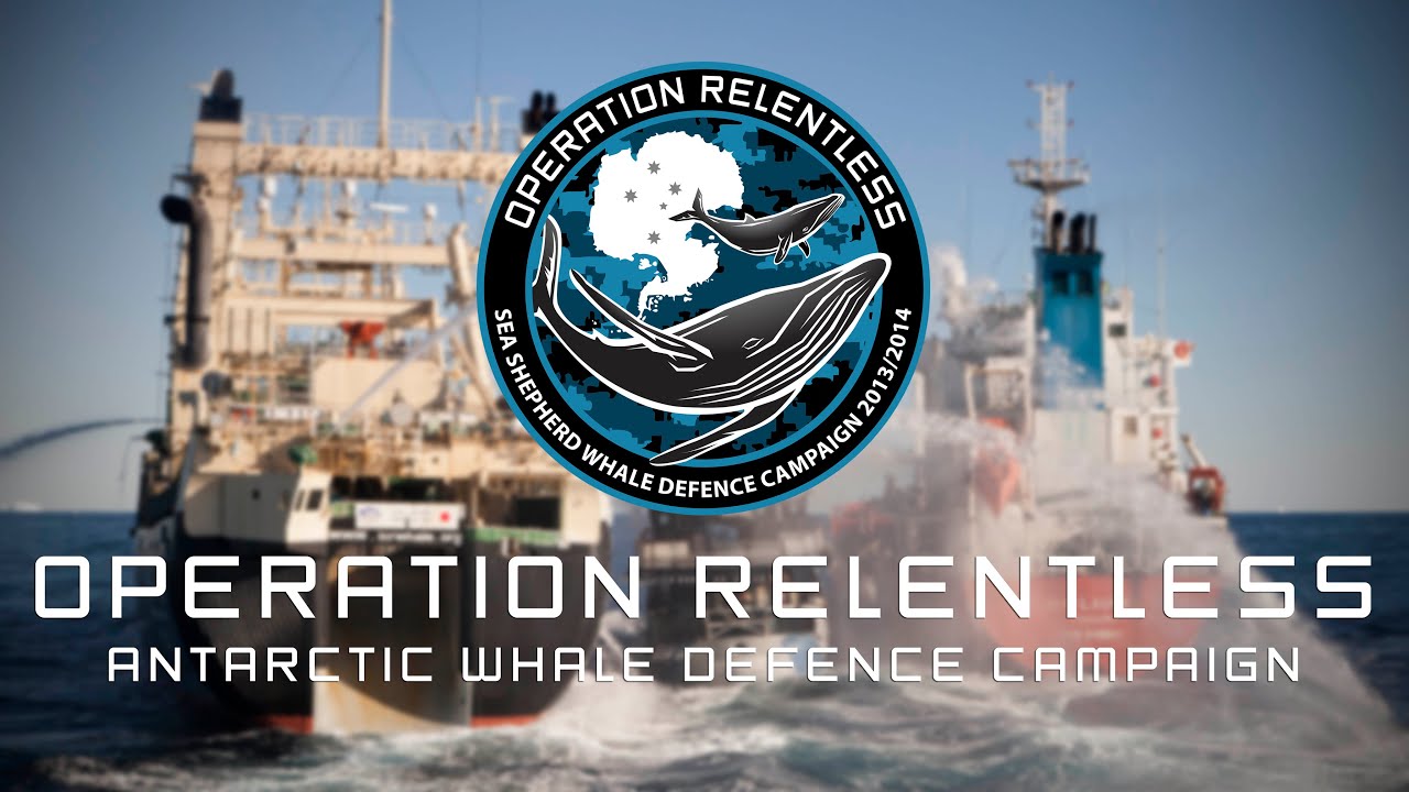 Operation Relentless - Sea Shepherd