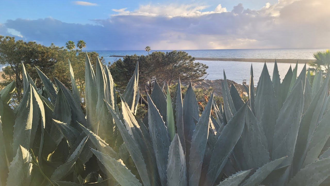 California