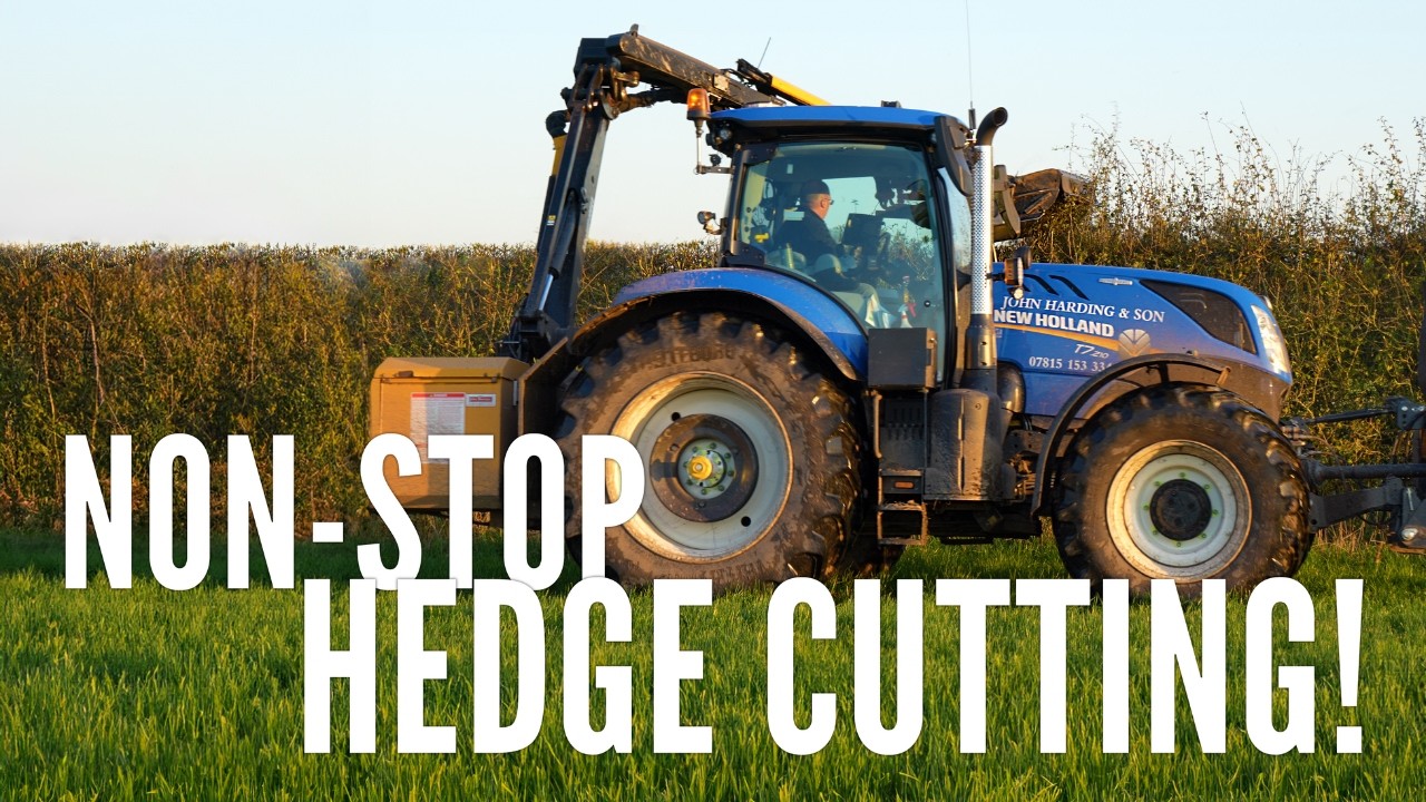 Непрерывная стрижка живой изгороди с New Holland