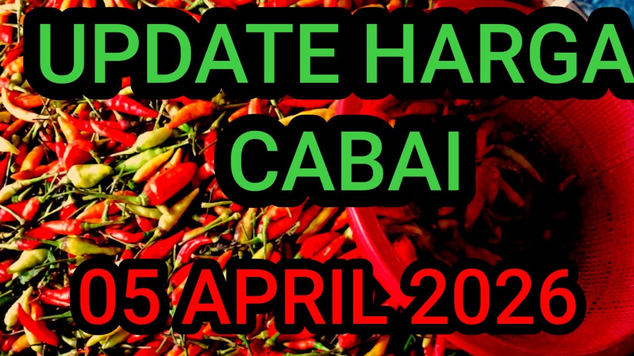 Update harga cabe rawit merah hari ini, minggu 5 April 2026 di pasar induk pare kediri jawa timur 