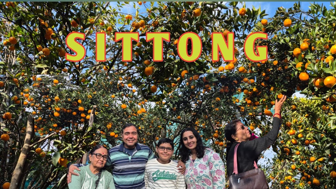Sittong