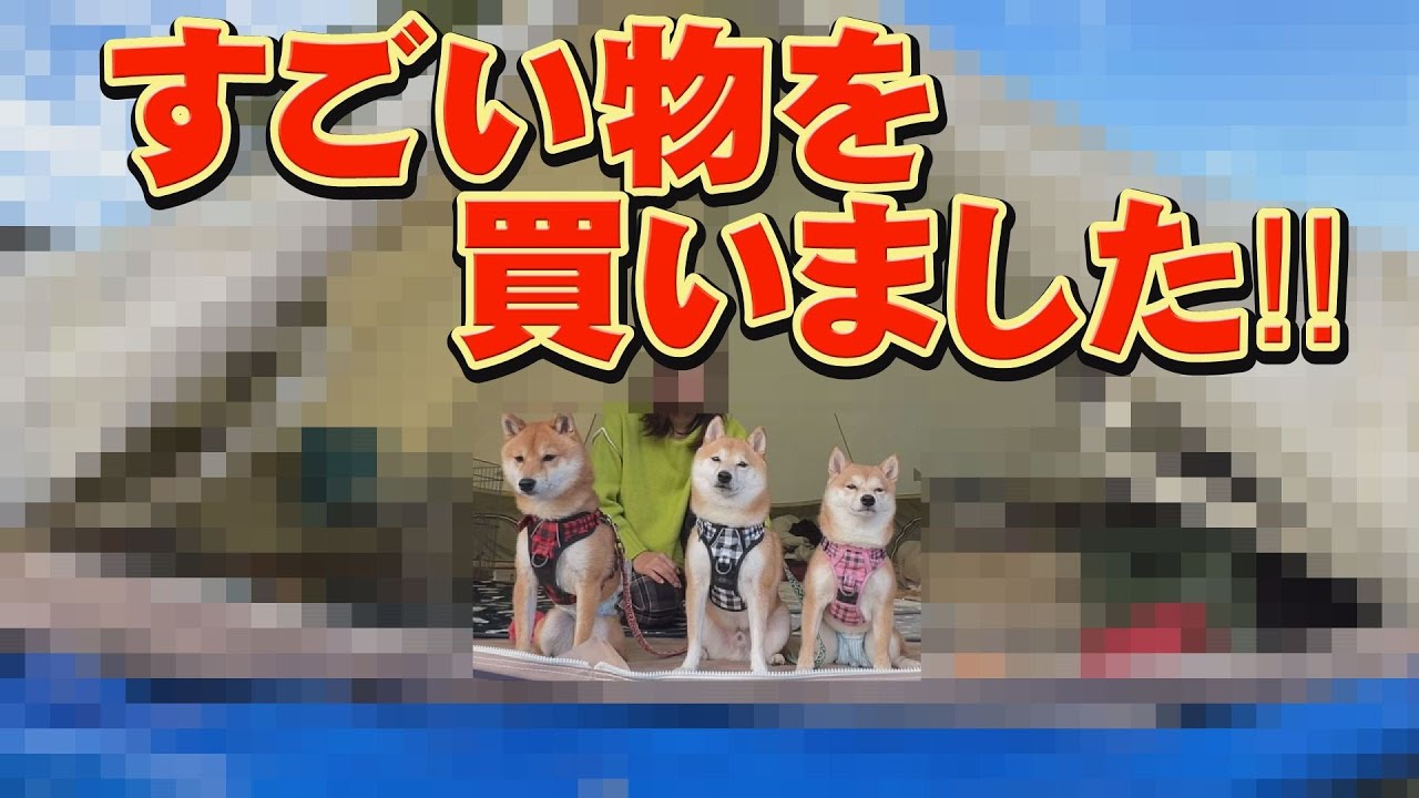 ビックリすると思うので、絶対に観て下さい♪