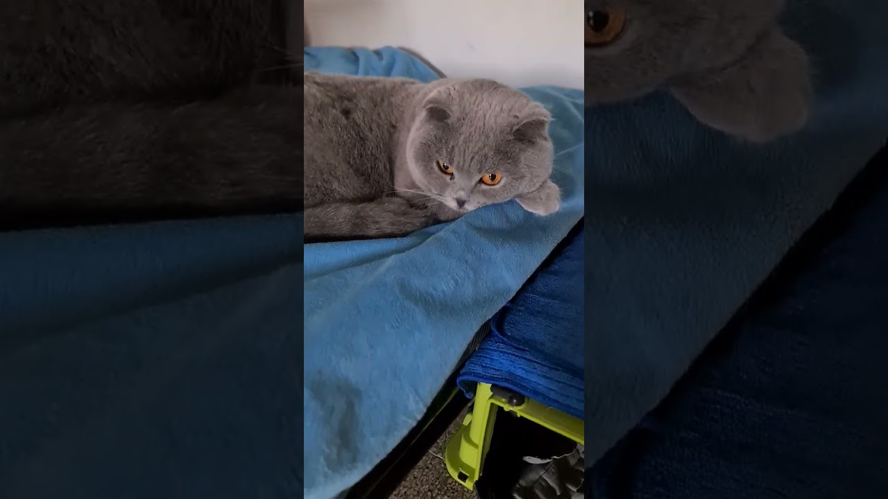 15 февраля 2026 г.