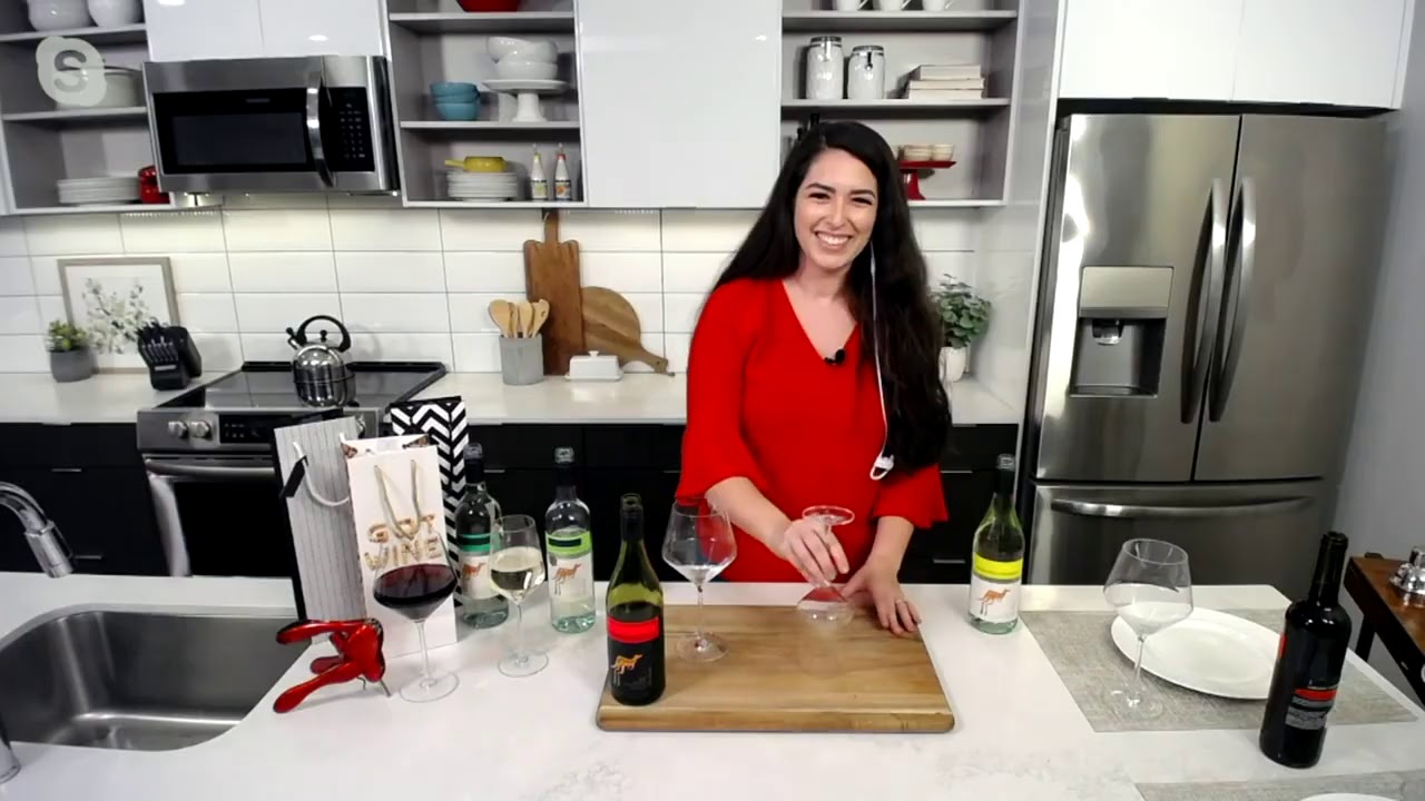 Schott Zwiesel Pure Set of 2 Red or White Wine Glasses on QVC