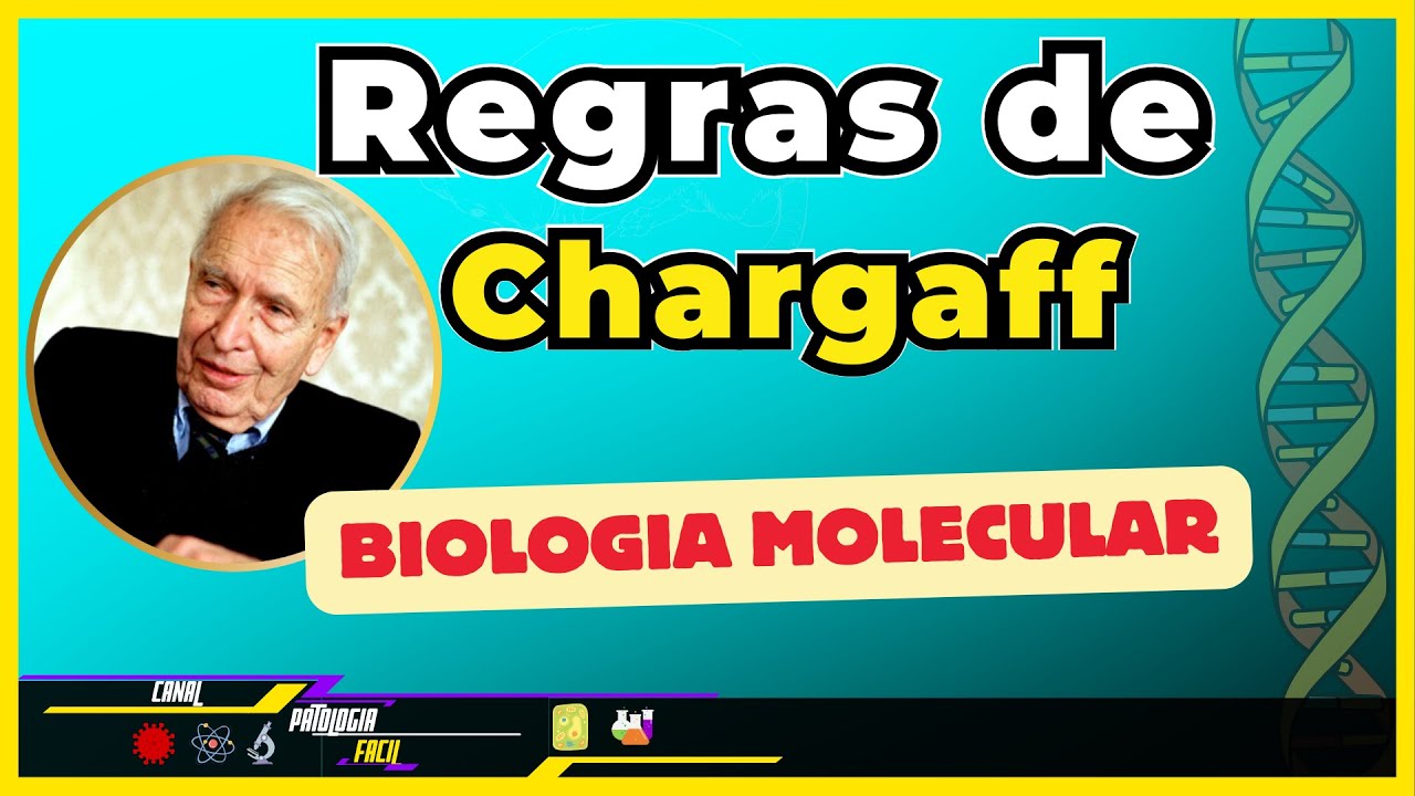 Regras de Chargaff e Nucleotídeos [Biologia Molecular]