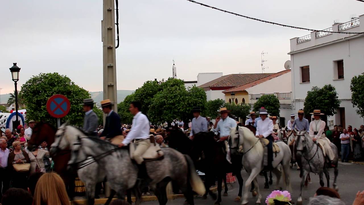 Romería Montellano 2016: caballos
