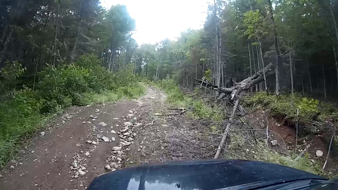 RAV4 Off Road