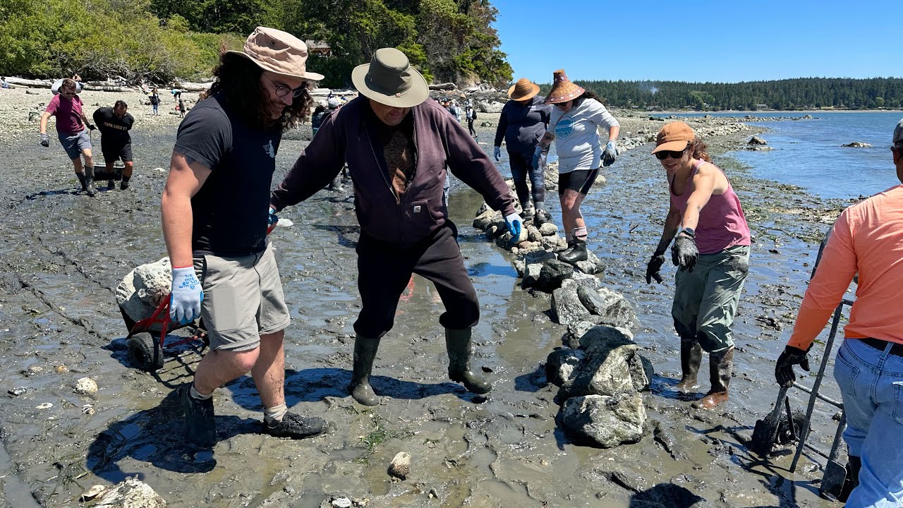 Swinomish Indian Tribal Community Clam Garden