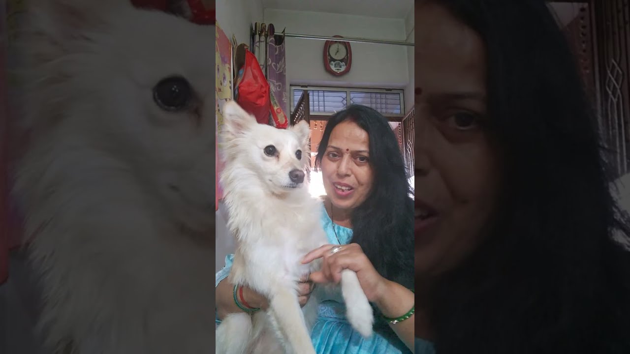 Pyari Jimmy  is live