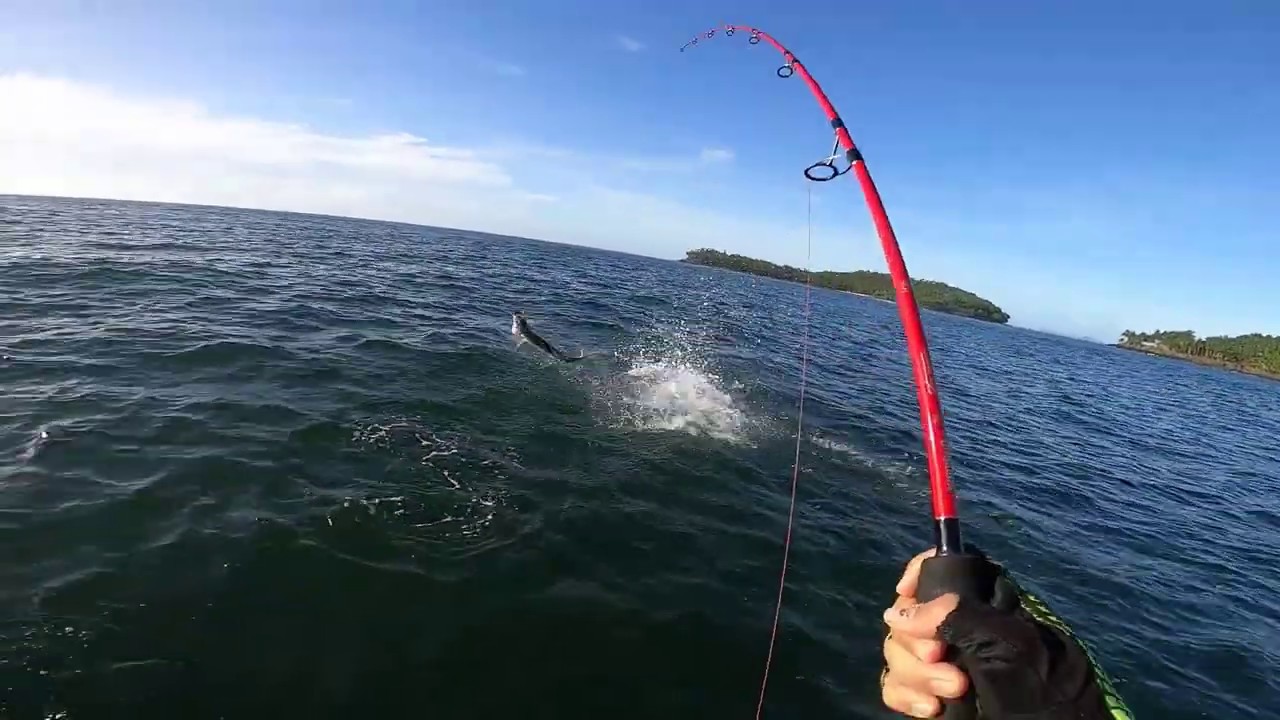 Pêche aux îles du Salut / Guyane Française (1 partie)