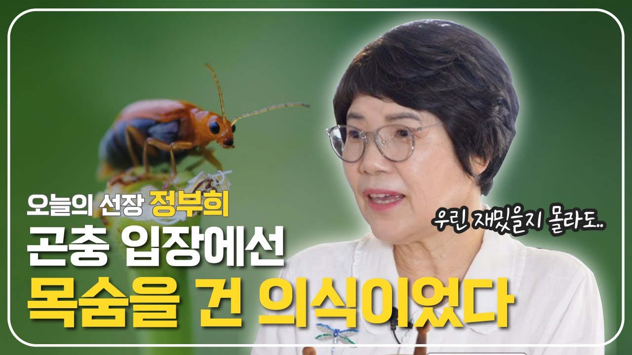목숨을 건 짝짓기, 그래도 해야한다ㅣ정부희 선장 ⚓️ [보물지도]