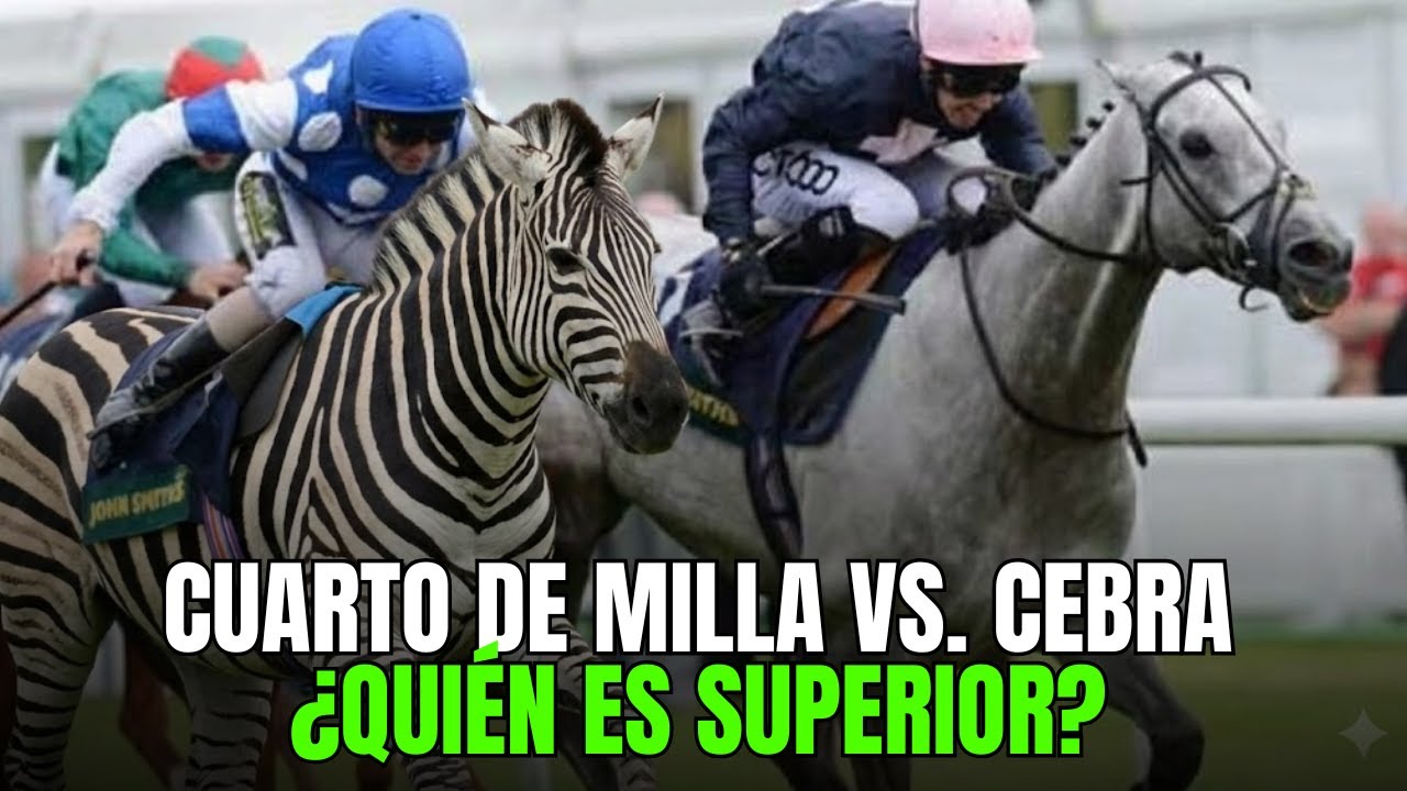 Quarto de Milha vs. Zebra, quem tem a arrancada mais poderosa? (Final Inesperado)