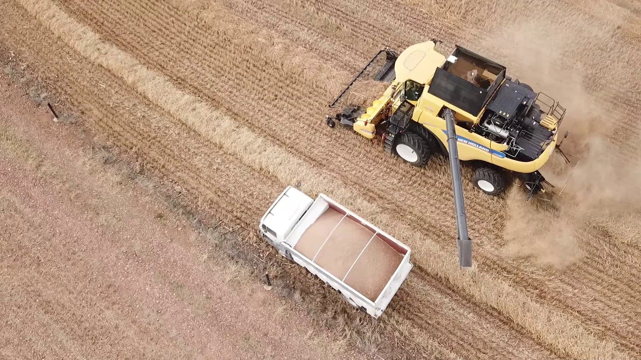 Oudemuragie Boerdery 2019