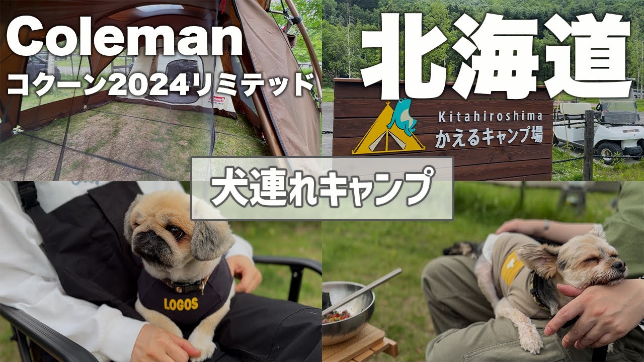 【犬連れキャンプ】犬連れに優しい北海道北広島市「かえるキャンプ場」に行ってきました