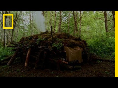 System Flush | The Legend of Mick Dodge