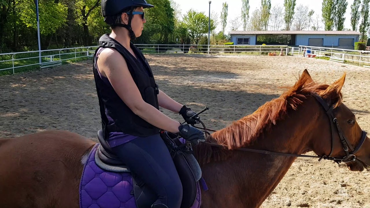 figures de manège galop 1 et galop 2