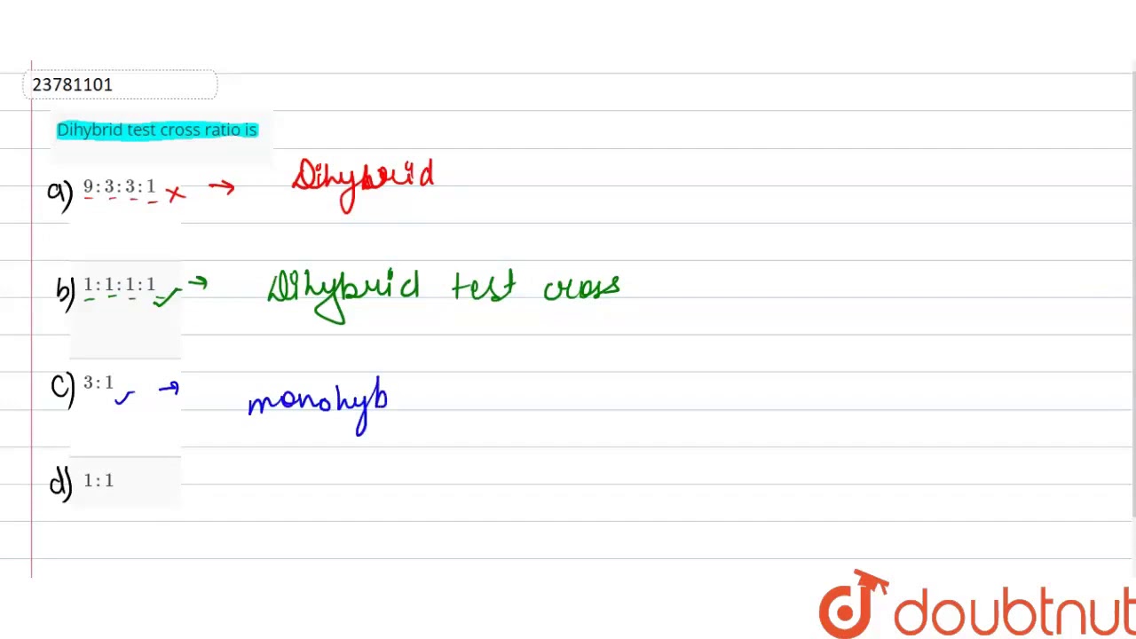 Dihybrid test cross ratio is