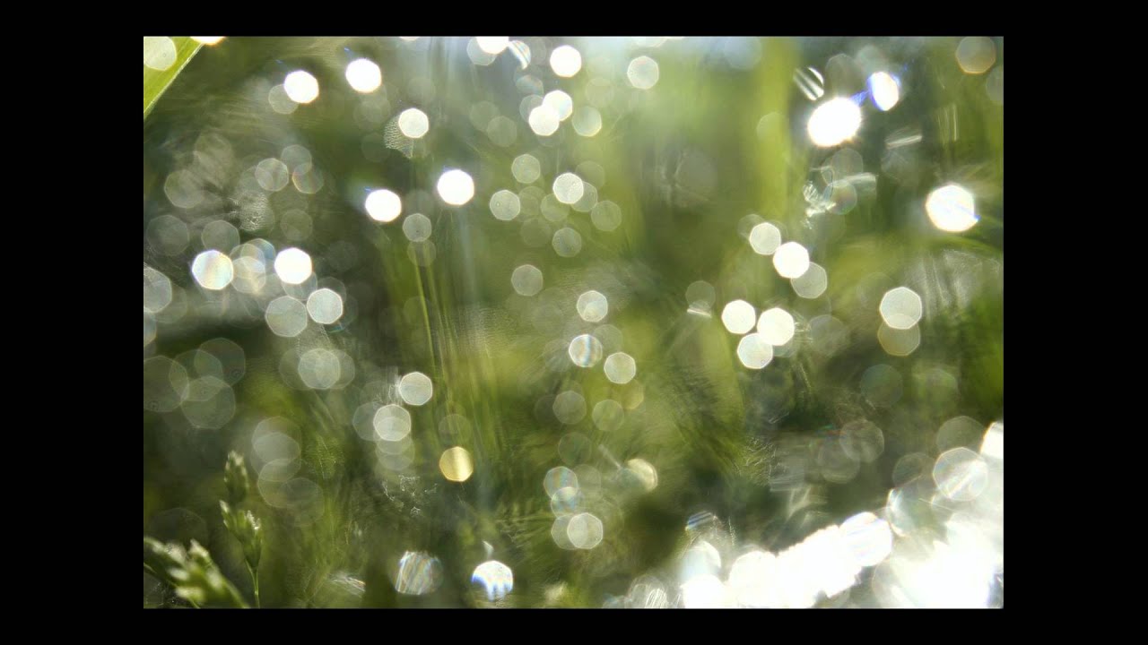 Michał Makulski - Drops of Grace