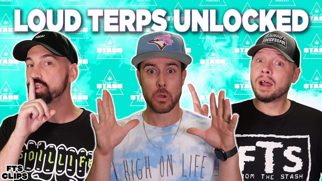 Недостающее звено к громким терпам и взрывному росту! &mdash; FTS Clips