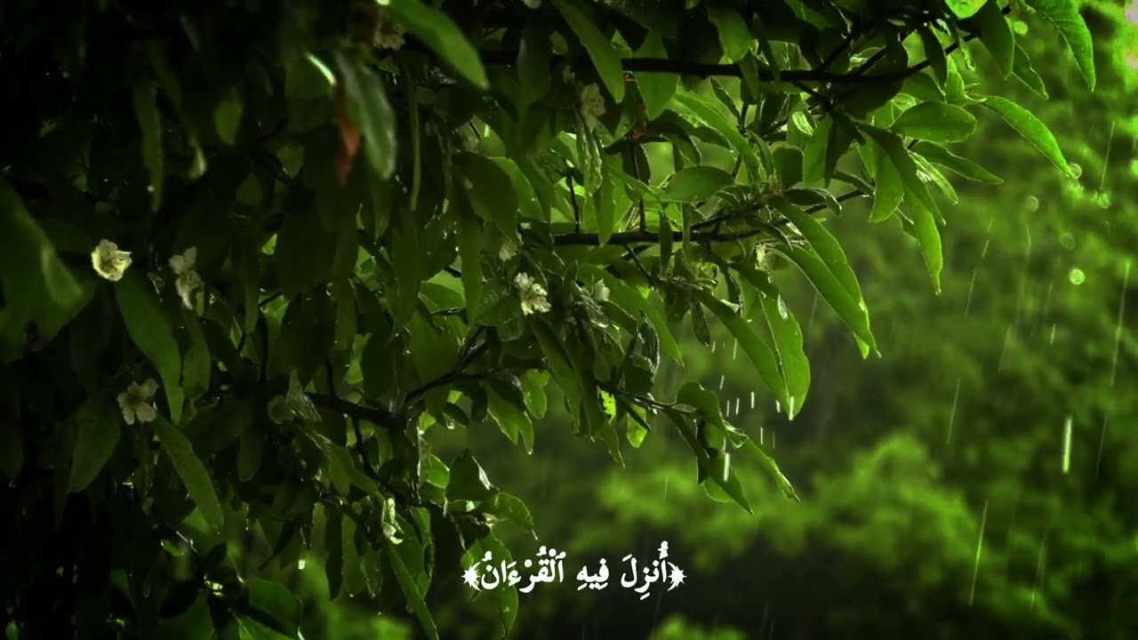 –عبد الباسط رحمهُ اللَّهَ–