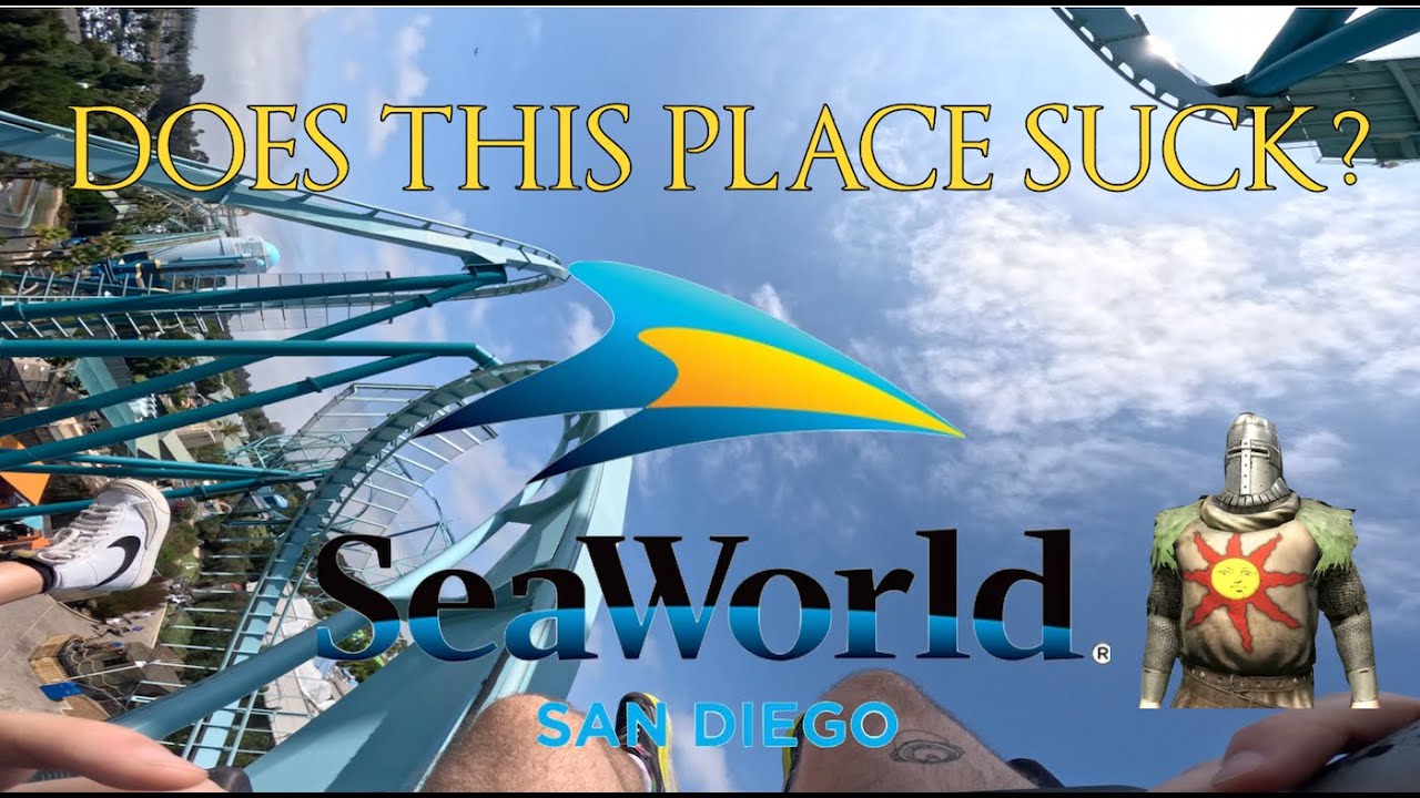 Мой день в Sea World Сан-Диего