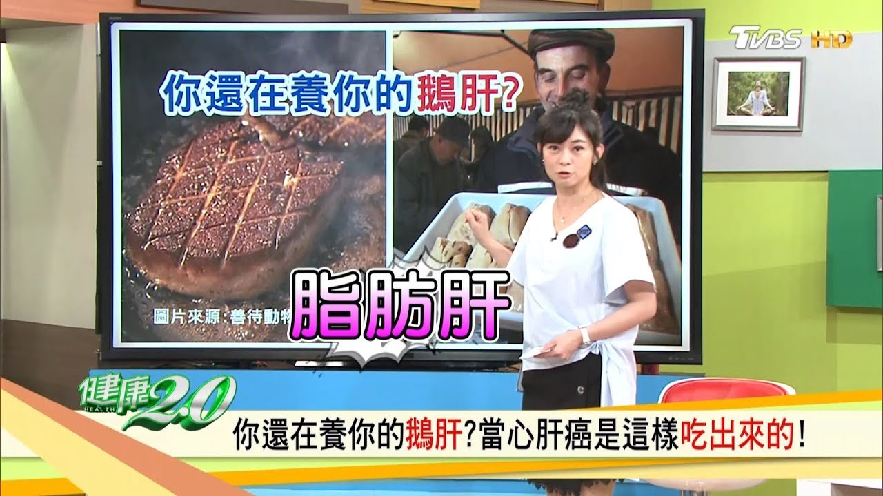 你還在養肥你的肝，當心肝癌是這樣吃出來的！三週逆轉脂肪肝！健康2.0(完整版)
