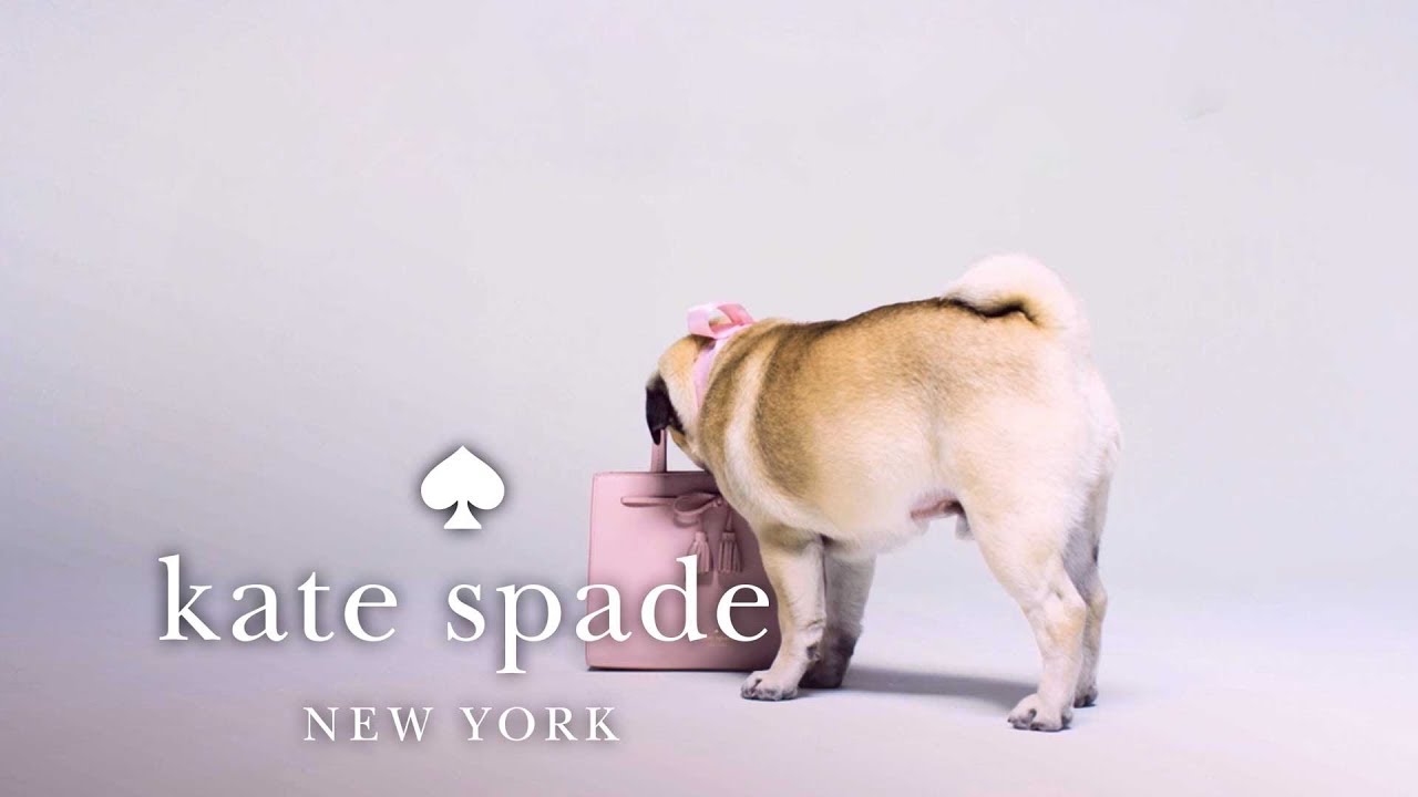 the hayes street sam bag is a girl's best friend | kate spade new york