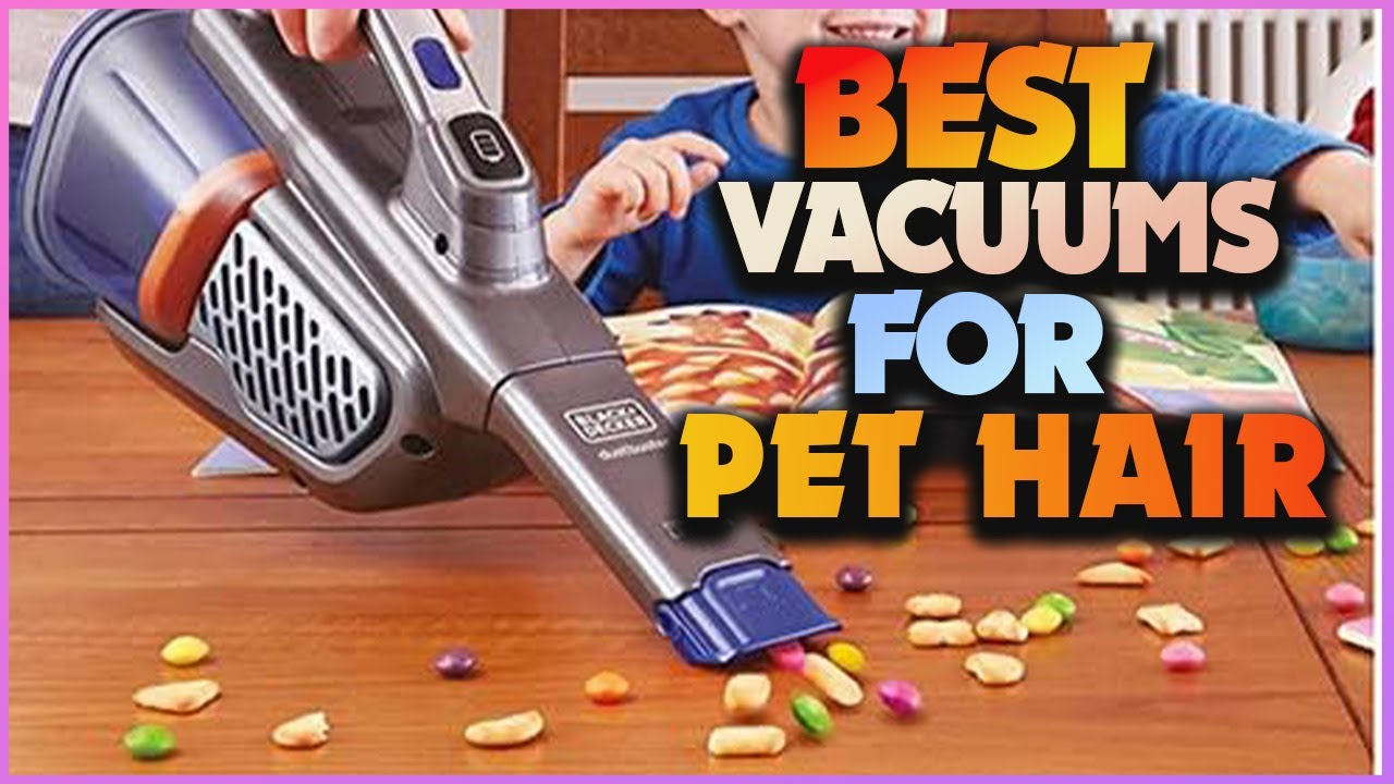 Fur-Free Home: Exploring the Best Vacuums for Pet Hair Removal