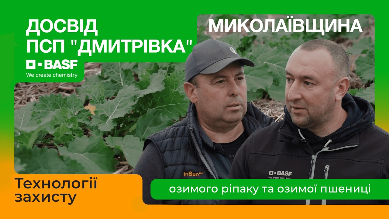 Технології захисту озимого ріпаку та озимої пшениці. Досвід ПСП “Дмитрівка”, Миколаївщина