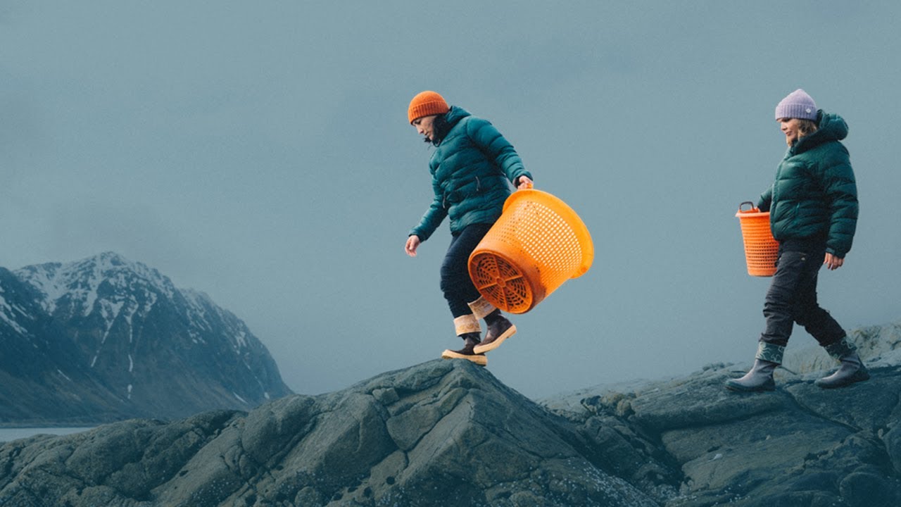 Built For All: Lofoten Seaweed