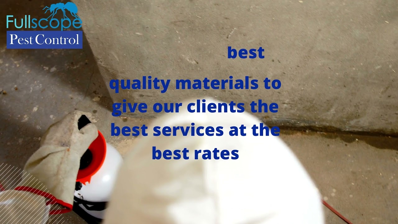 Pest Control Conroe, Texas | Pest Control Company | www.fullscopepestcontrol.com