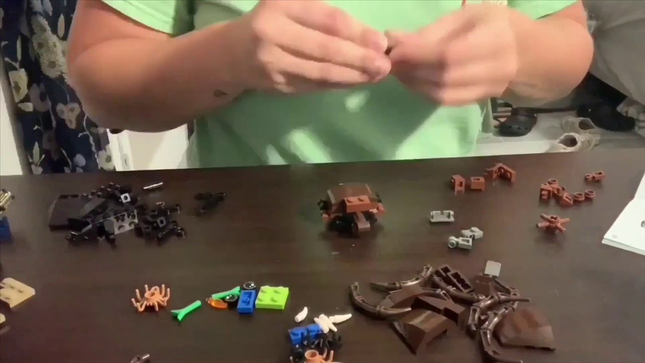 Harry Potter LEGO Aragog's Lair