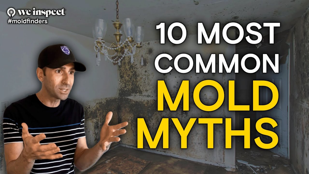 10 Most Common Mold Myths  |  We Inspect