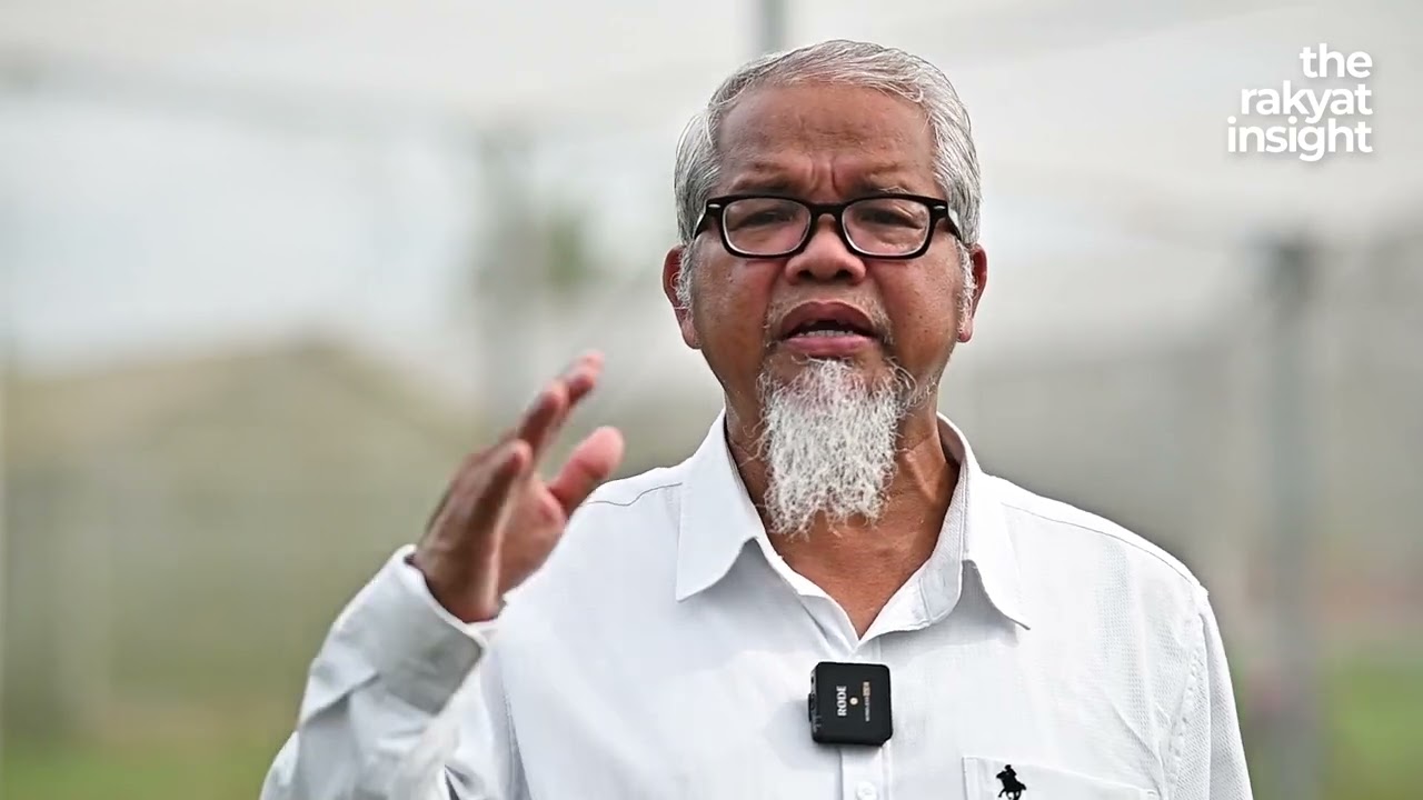 Pesawah Muda Harus menimba Ilmu Pengurusan Padi