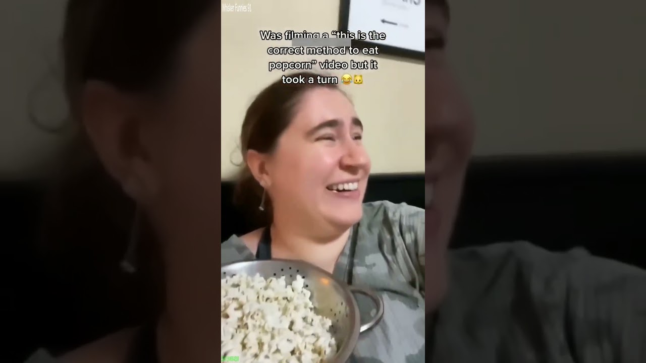 Cute Kittens 😾 Cat Fight 🐈‍⬛ # Episode 4159