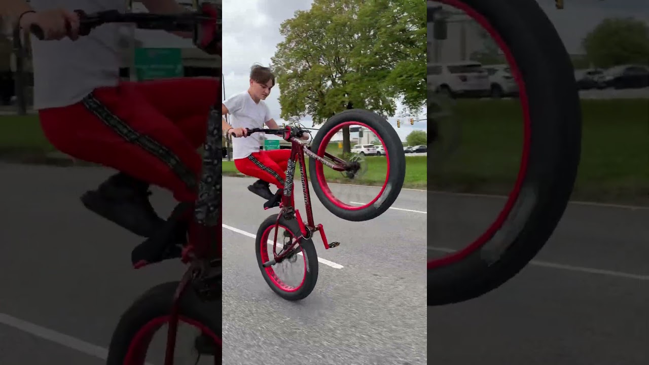 New @SEBikesBMX Fat Ripper
