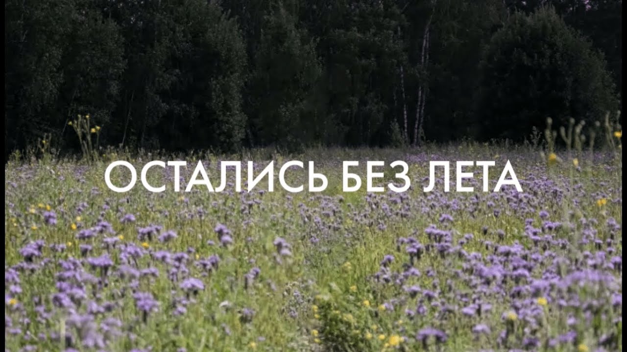 Гипнобаза - Остались без лета