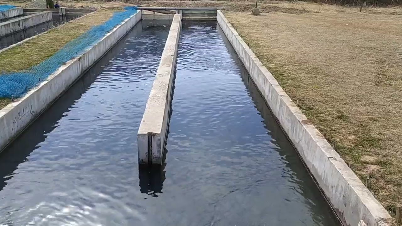 american type race ways for trout aquaculture at kokernag fish farm
