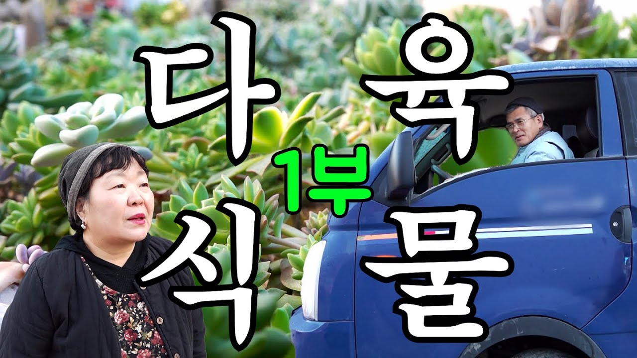 [나는농부다 337회 1부] 닭살 부부의 다육이 로맨스