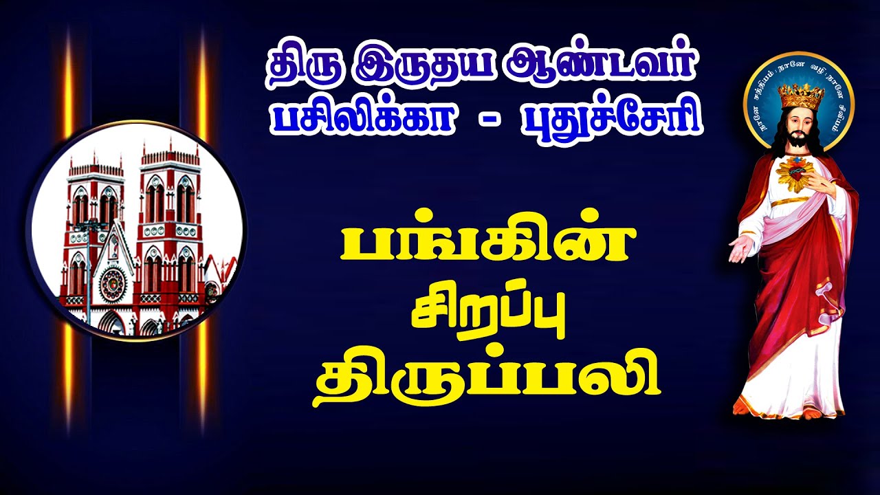 🔴நேரலை.27.01.2026. தூய இருதய ஆண்டவர் பசிலிக்கா, சிறப்பு  திருப்பலி.6.00.PM
